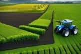 Revolutionizing Agriculture: Discover AI for Farming in the US AI for Farming